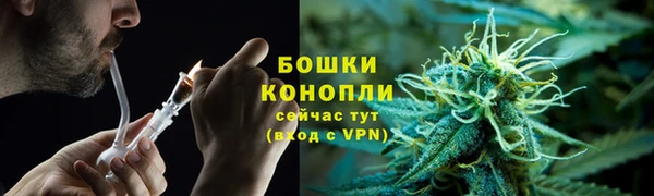 шишки Алзамай