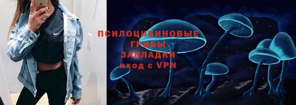 дурь Алексин