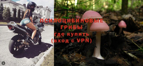 дурь Алексин
