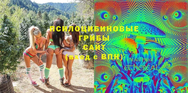 шишки Алзамай