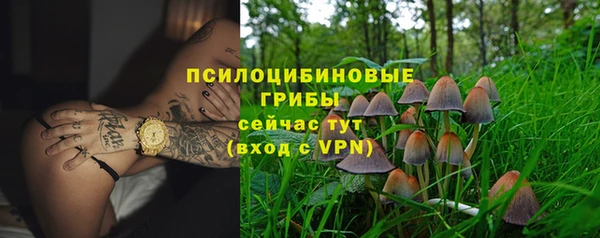 дурь Алексин