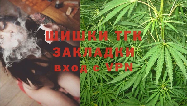 сатива Алексеевка