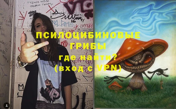 шишки Алзамай